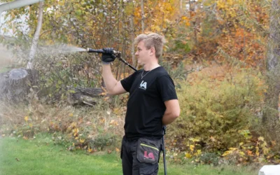 Alg och mögeltvätt fasad: Så blir du av med påväxten på riktigt